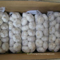 Chinese Normal White Garlic (4.5cm, 5.0cm, 5.5cm, 5.5cm, 6.0cm)